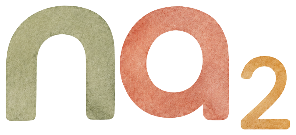 na2 studio